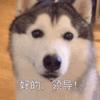 梵梦男装优选
