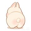 兔兔兔宝🐰