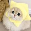 小满聊养猫