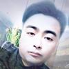 秦老五全影视