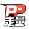PP走量