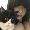 小羊