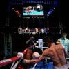 Zongli He何宗礼🥊