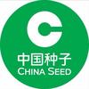 中种水稻