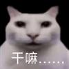 我又做错啥了