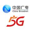中国广电宁晋在线