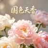 净善3949
