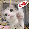 你好，我吃一点点