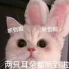 主角蒸滴C.🐉