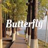 元Butterfly
