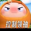真橙控制考研