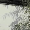 言岀必行