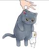 【蓝猫】二手声卡收售