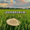 乡野农人阿亮
