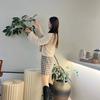 佩佩陪你玩