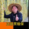 正哥蔗植保