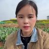 小妹农业种植