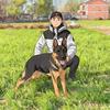 六子爱养犬
