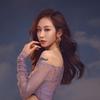 媛总MISS YUAN 5号晚大上新