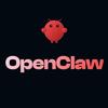 OpenClaw智能体部署