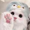 懒猫猫🐾