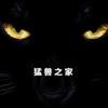 猛兽之家