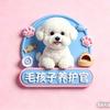 毛孩子养护官黄黄