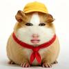 小学生丶个个