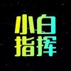 王于兴师 小白指挥 （顶级指挥）