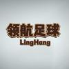 领航足球