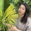 槟榔西施
