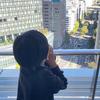 夏目家的小太陽