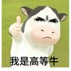 蛋蛋🥚后「深圳租房版」