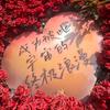 与你到永久