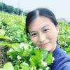 霜霜茉莉小花农