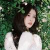 白鹿my.