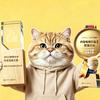 李老师聊宠业-肥猫文化