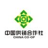 广西供销社农产品电商运营中心