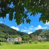 夏日时光