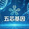 幻视界五芯基因