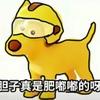 你的胆子真是胖嘟嘟的！