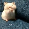 超鸡蛋人