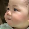 小胖到处跑