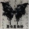 黑蝶睡袍
