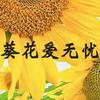 葵花爱无忧营养膳食旗舰店