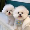 维尼是小B熊