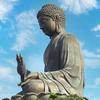 脱俗的霸气
