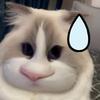 猪猪小野