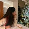 公主四个胃