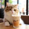 奶茶猫meme小剧场